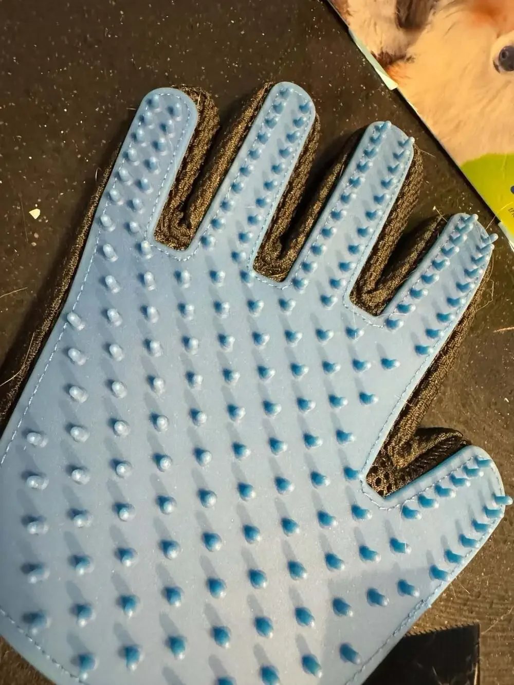 True Touch Five Finger Deshedding Pet Grooming Glove